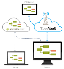 TreeVault Cloud Services FAQs